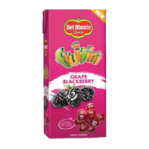 Del Monte Grape Blackberry Fruitini Juice Drink 250ml